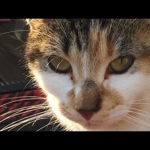 Meet your Posher, Grace